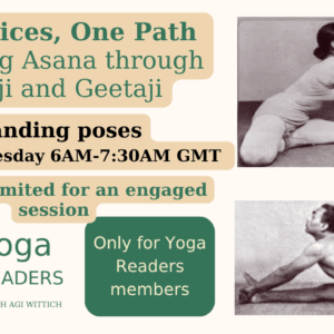 "two voices, one path" session 1 standing poses