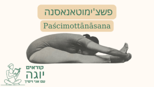 youtube thumbnail (87)